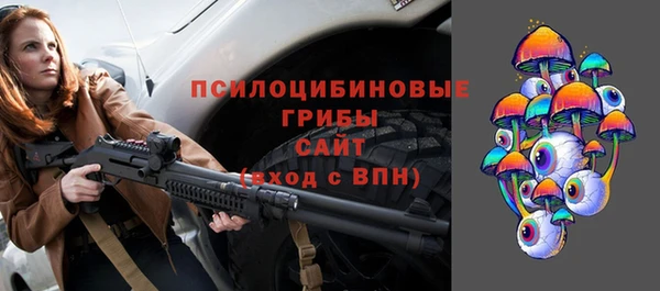 ECSTASY Новозыбков