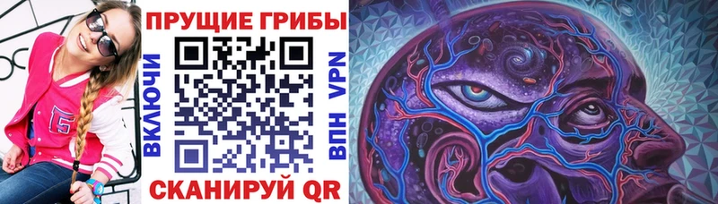 Галлюциногенные грибы Psilocybe  Удачный 